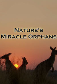 Nature's Miracle Orphans