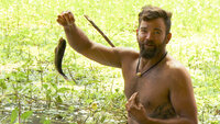 Amazon Pain Forest