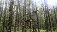 Elevated Shelter With Food Storage