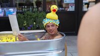 What the Duck Is Going On?