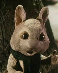 Billy Rabbit