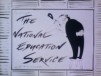 The National Education Service