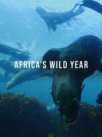 Africa's Wild Year