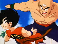 Final Match: Goku vs. Tien Shinhan