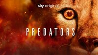 Predators