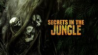 Secrets in the Jungle