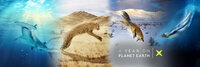 A Year on Planet Earth