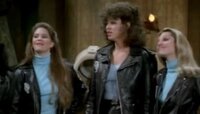 Fonzie Versus the She Devils