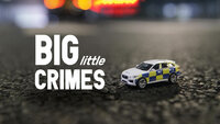 Big Little Crimes