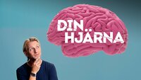 Din Hjärna