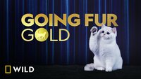 Going Fur Gold