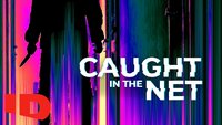 Caught in the Net