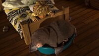 Snorgesbord