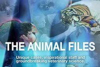 The Animal Files