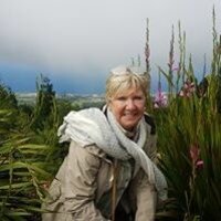 Anne Busselen