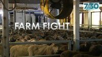 Farm Fight