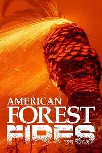 American Forest Fires: The Untold Story