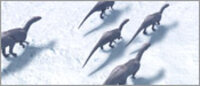Arctic Dinosaurs