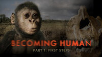 Becoming Human Part 1: First Steps