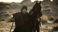 Hay Sultan