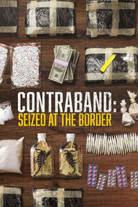Contraband: Seized at the Border