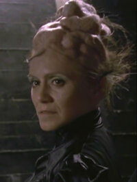 The Dark Lady