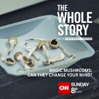 Magic Mushrooms: Can They Change Your Mind?
