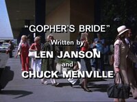 Gopher's Bride / Love with a Married Man / Not Tonight, Jack!