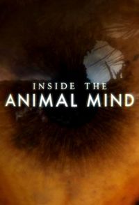 Inside the Animal Mind