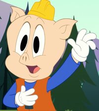 Porky Pig