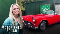 Motor Shed Squad