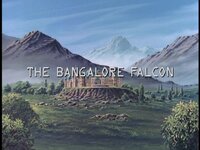 The Bangalore Falcon