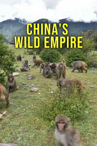 China's Wild Empire