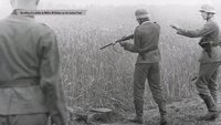 15 August 1944
