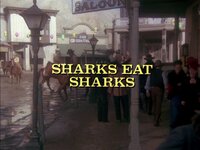 Sharks Eat Sharks
