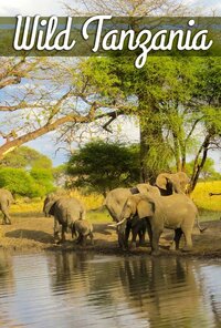 Wild Tanzania