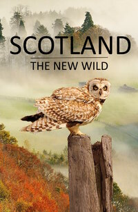 Scotland - The New Wild