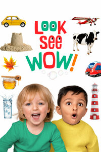 Look See Wow!
