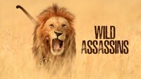 Wild Assassins