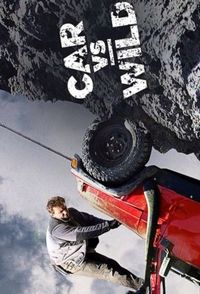 Car vs. Wild