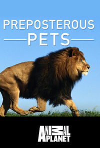 Preposterous Pets