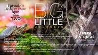 Big Little Journeys