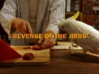 Revenge of the Jirds