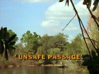 Unsafe Passage