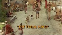 The Feral King