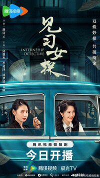 Internship Detective