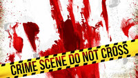 True Nordic Crimes