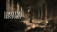 Looting History