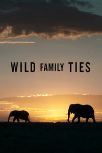 Wild Family Ties