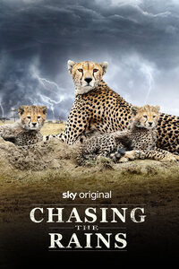 Chasing the Rains